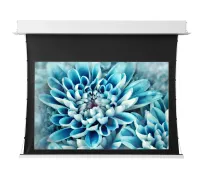 ViewScreen Annex 16:10 164" 353*220 (размер белого поля) White Casing (с ИК пультом)