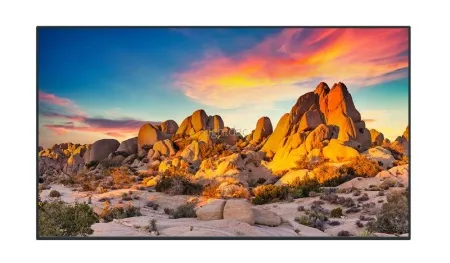 v8_666_31c v8_666_31c