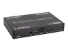 Купить iconBIT HS-2504 по выгодной цене в Новосибирске