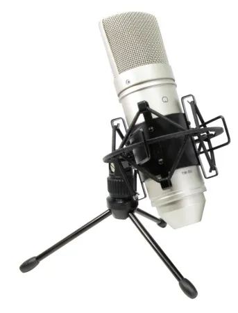 Купить Tascam TM-80 по выгодной цене в Новосибирске