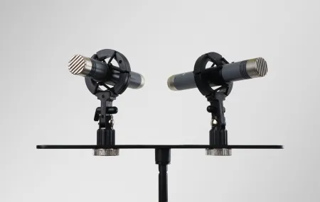 Купить AuraSonics AP22-MP по выгодной цене в Новосибирске