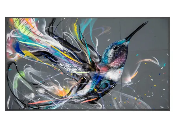 Philips 98BDL4650D/00