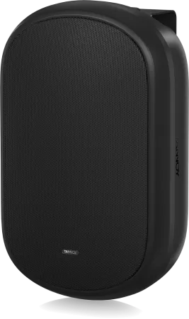 Купить Tannoy DVS 601 по выгодной цене в Новосибирске