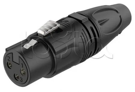 Купить ROXTONE RX3F-BT по выгодной цене в Новосибирске