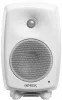 Купить Genelec 8030CW по выгодной цене в Новосибирске