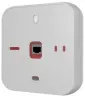 Купить BIAMP RED-1 по выгодной цене в Новосибирске