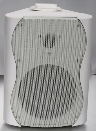 Купить SVS Audiotechnik WS-40 White по выгодной цене в Новосибирске