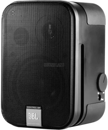 Купить JBL Control 2P/230 по выгодной цене в Новосибирске