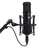 Купить WARM AUDIO WA-47jr по выгодной цене в Новосибирске