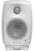 Купить Genelec 8010AW по выгодной цене в Новосибирске