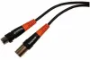 Bespeco SLFM300