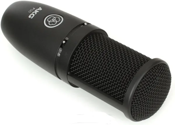 AKG P120