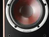 Купить DALI GRILLE SPEKTOR 6 BLACK по выгодной цене в Новосибирске