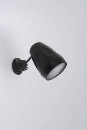 Купить AuraSonics FLORET-4T по выгодной цене в Новосибирске