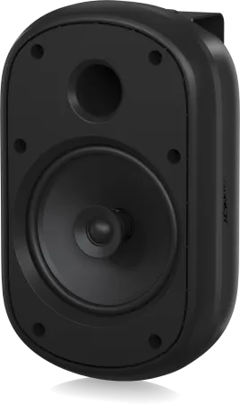 Купить Tannoy DVS 601 по выгодной цене в Новосибирске