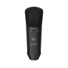 Купить BEHRINGER B-1 DARK EDITION по выгодной цене в Новосибирске
