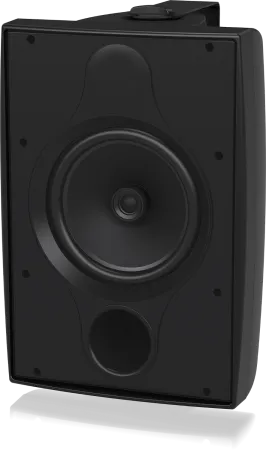 Купить TANNOY DVS 8T по выгодной цене в Новосибирске