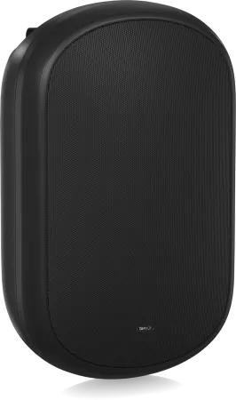 Купить Tannoy DVS 801 по выгодной цене в Новосибирске