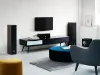 Купить DALI GRILLE SPEKTOR 6 BLACK по выгодной цене в Новосибирске