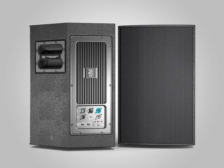 Купить SVS Audiotechnik R10A по выгодной цене в Новосибирске