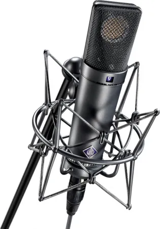 Купить NEUMANN U 89 i по выгодной цене в Новосибирске