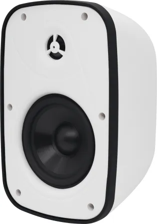 Купить SVS Audiotechnik PAF-6W PRO по выгодной цене в Новосибирске