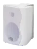Купить SVS Audiotechnik WS-30 White по выгодной цене в Новосибирске