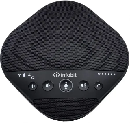Купить Infobit iSpeaker M600 по выгодной цене в Новосибирске