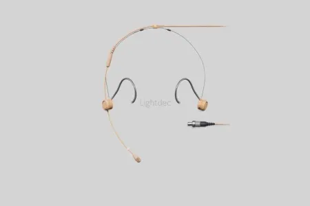 v8_2D1E_22d99 v8_2D1E_22d99