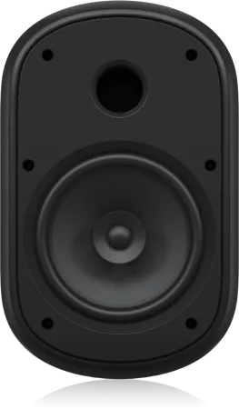 Купить Tannoy DVS 801 по выгодной цене в Новосибирске