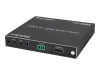 Купить iconBIT HS-2506 по выгодной цене в Новосибирске
