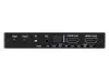 Купить iconBIT HS-2509 по выгодной цене в Новосибирске