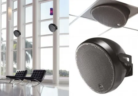 Купить DAS Audio OVI 12 по выгодной цене в Новосибирске