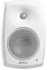 Купить Genelec 4430AW по выгодной цене в Новосибирске