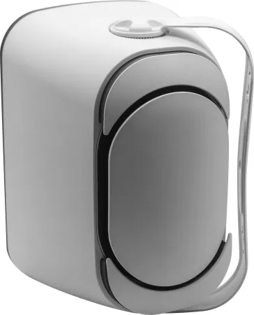 SVS Audiotechnik PAF-5W Pro SVS Audiotechnik PAF-5W Pro