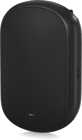 Купить Tannoy DVS 801 по выгодной цене в Новосибирске