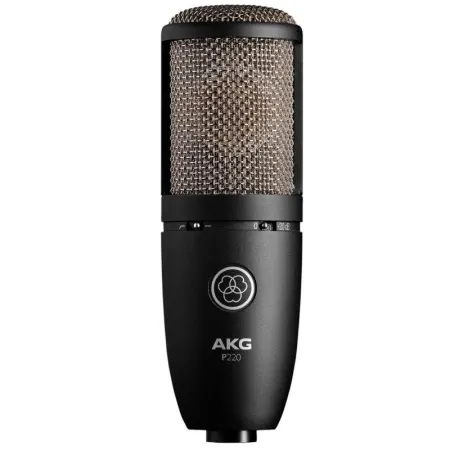 AKG P220 AKG P220