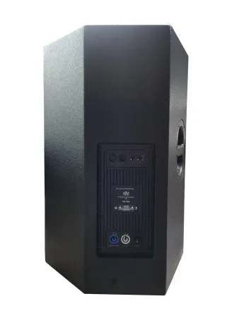 Купить SVS Audiotechnik FS-15A DSP по выгодной цене в Новосибирске