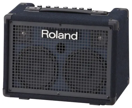 Купить ROLAND KC-220 по выгодной цене в Новосибирске