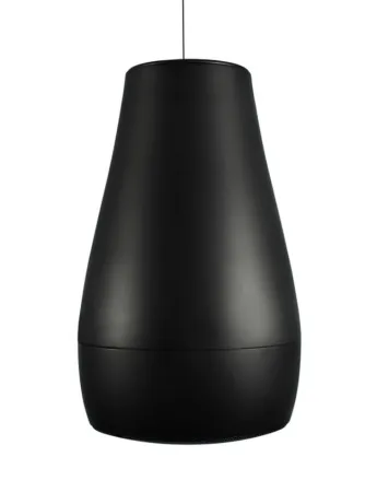 Купить BIAMP Desono P6 Black по выгодной цене в Новосибирске