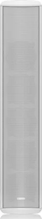 Купить Tannoy VLS 5-WH по выгодной цене в Новосибирске