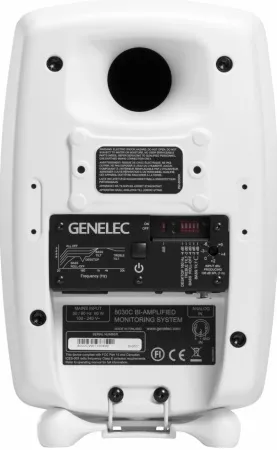 Купить Genelec 8030CW по выгодной цене в Новосибирске