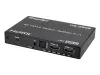 Купить iconBIT HS-2505 по выгодной цене в Новосибирске