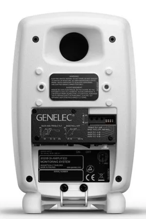 Купить Genelec 8020DWM по выгодной цене в Новосибирске