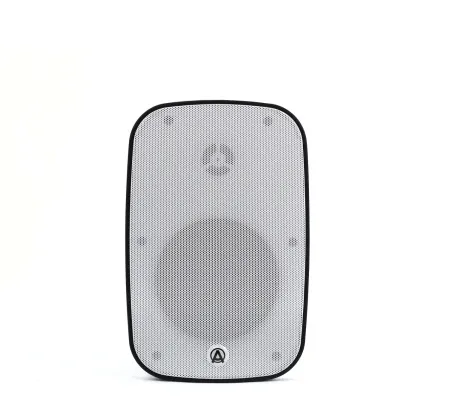 Купить AuraSonics DENSE-5T-WH по выгодной цене в Новосибирске