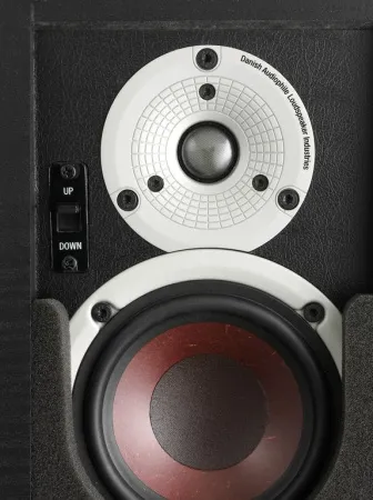 Купить DALI ALTECO C-1 [Black ASH] по выгодной цене в Новосибирске