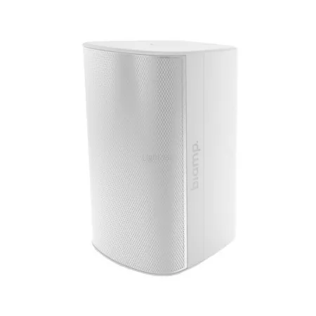 koaksialnyy_gromkogovoritel_6_5_dyuymov_poverkhnostnyy_montazh_dlya_vnutrennego_ulichnogo_montazha_8