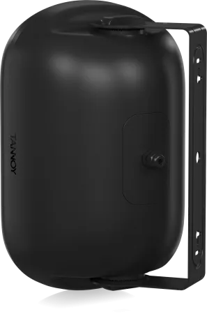 Купить Tannoy DVS 601 по выгодной цене в Новосибирске