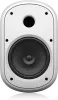Купить Tannoy DVS 801-WH по выгодной цене в Новосибирске
