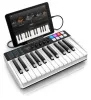 Купить IK MULTIMEDIA iRig Keys I/O 25 по выгодной цене в Новосибирске
